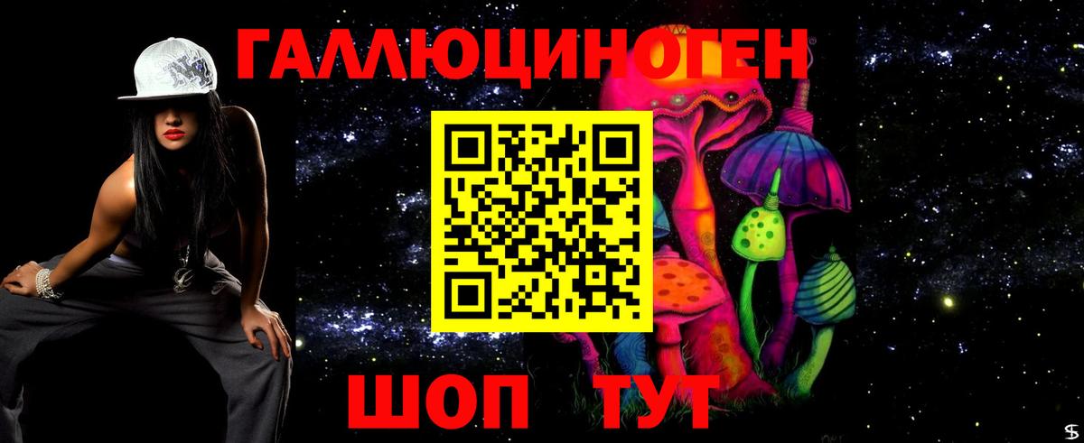 Псилоцибиновые грибы Cubensis Новочеркасск